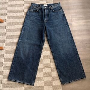 Agolde Denim “Low Slung Baggy” Jeans